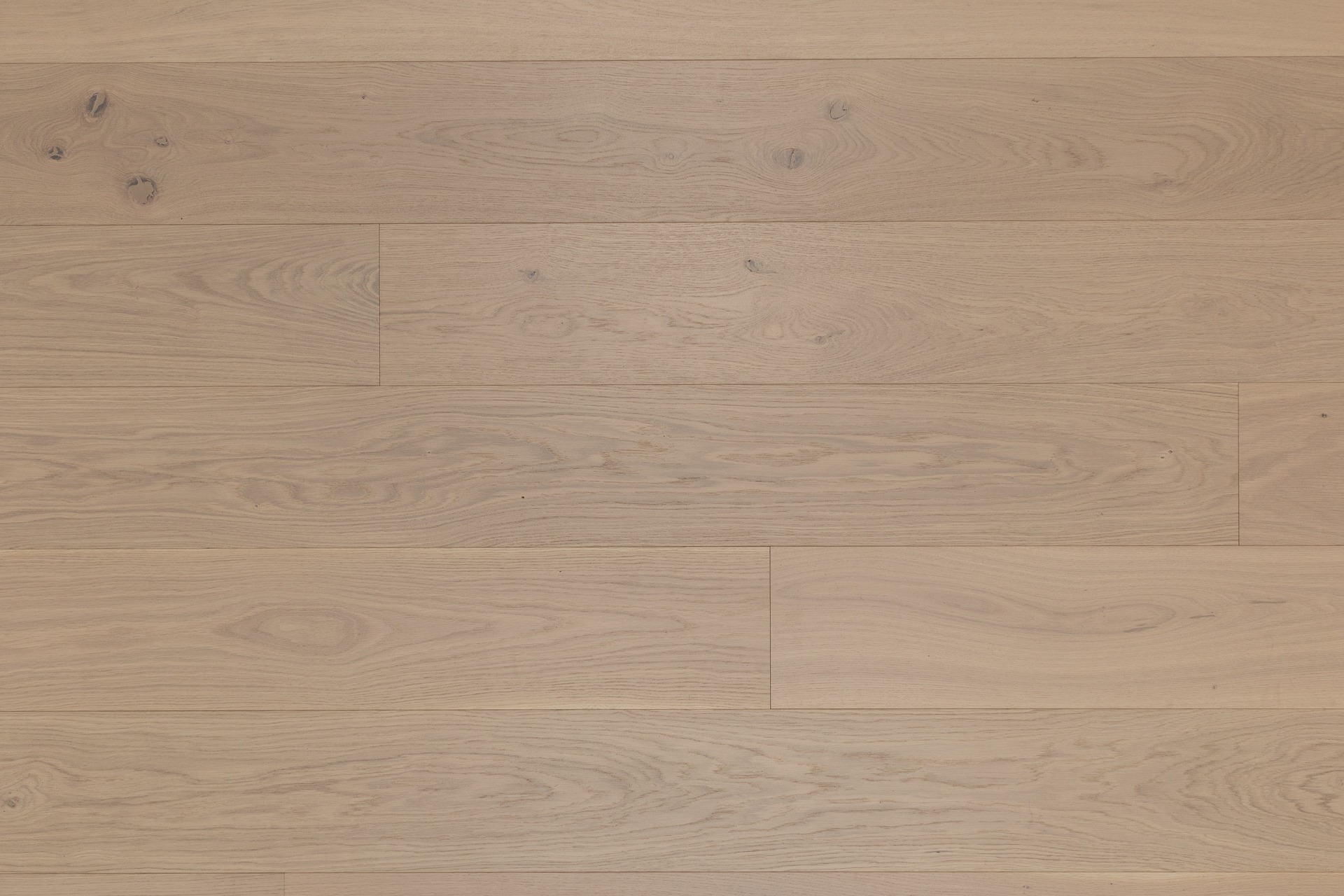 Oak Modena